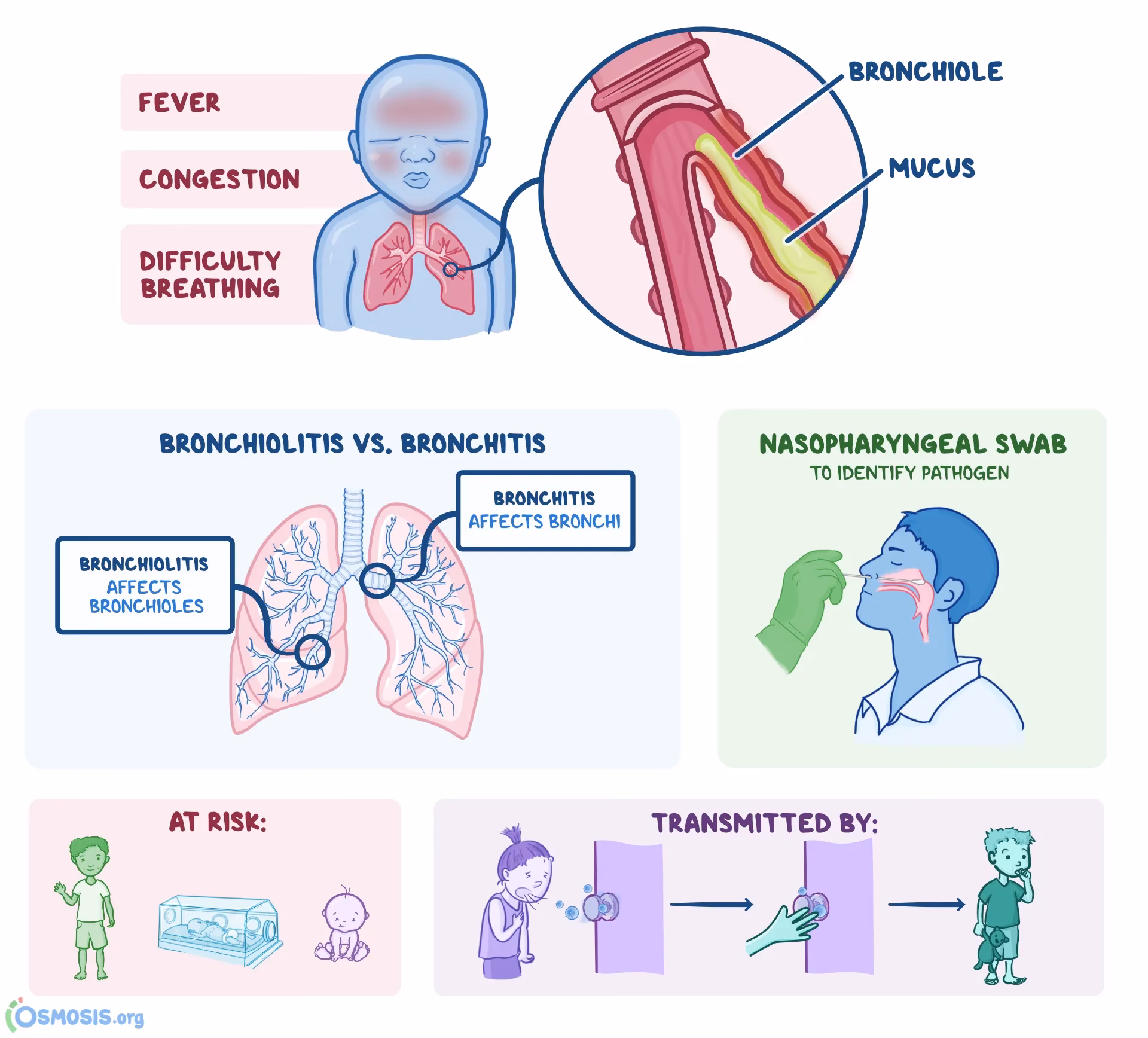 How long does bronchitis last in a child?
