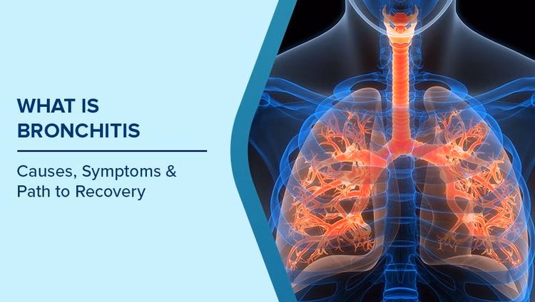What bacteria causes bronchitis and pneumonia?