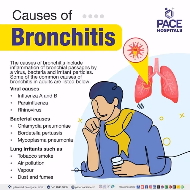 Is bronchitis a bacterial infection?