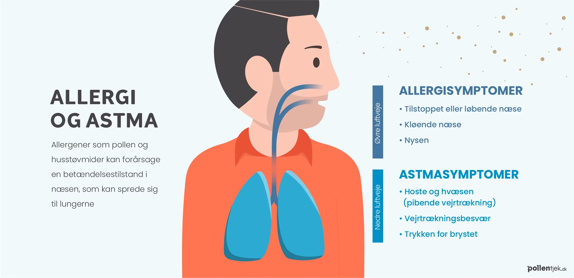 Does bronopol produce contact sensitivity in patients with dermatitis?