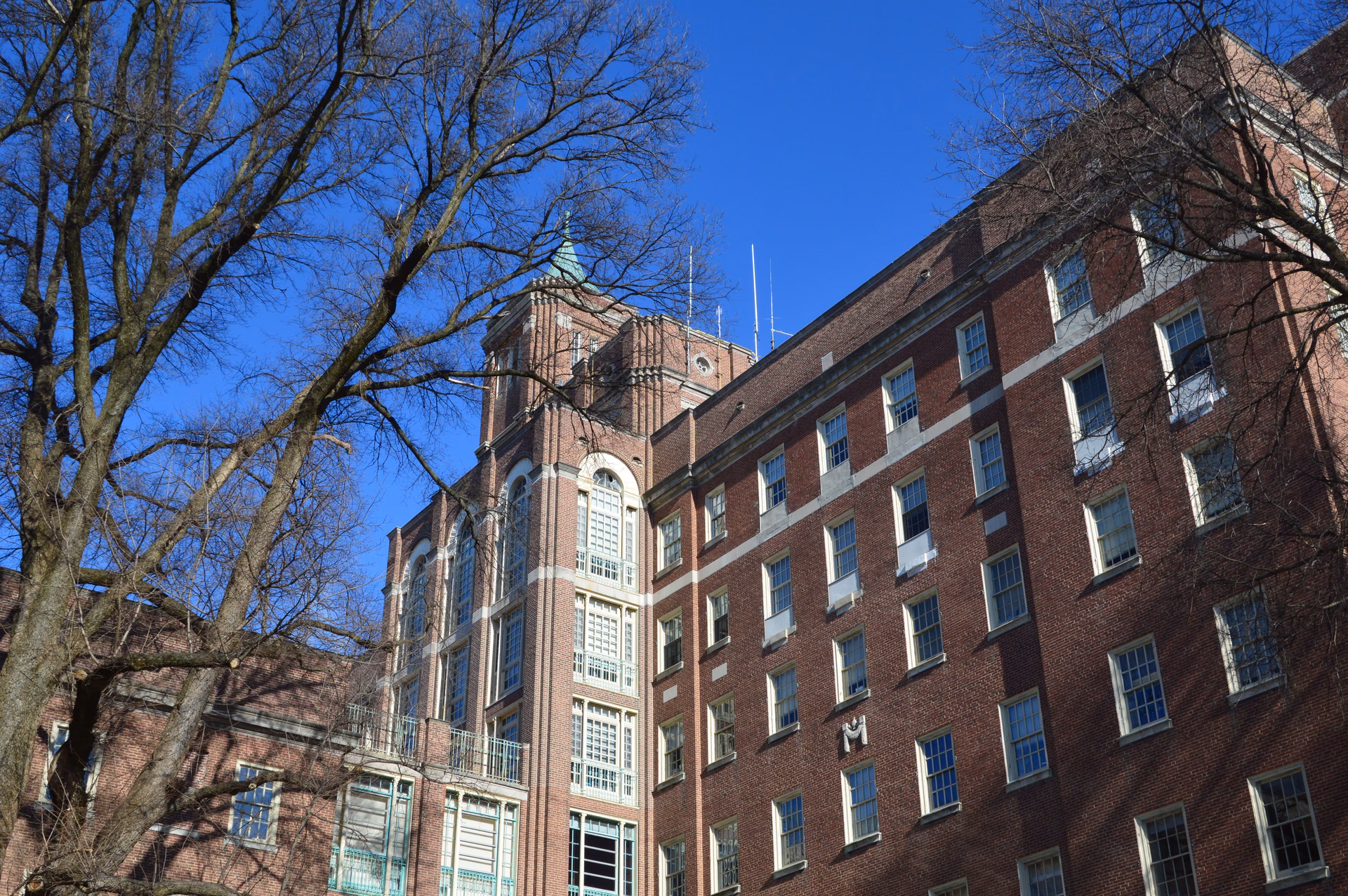 Where is Bryn Mawr station?