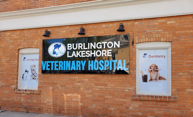 Is Burlington animal hospital closed?