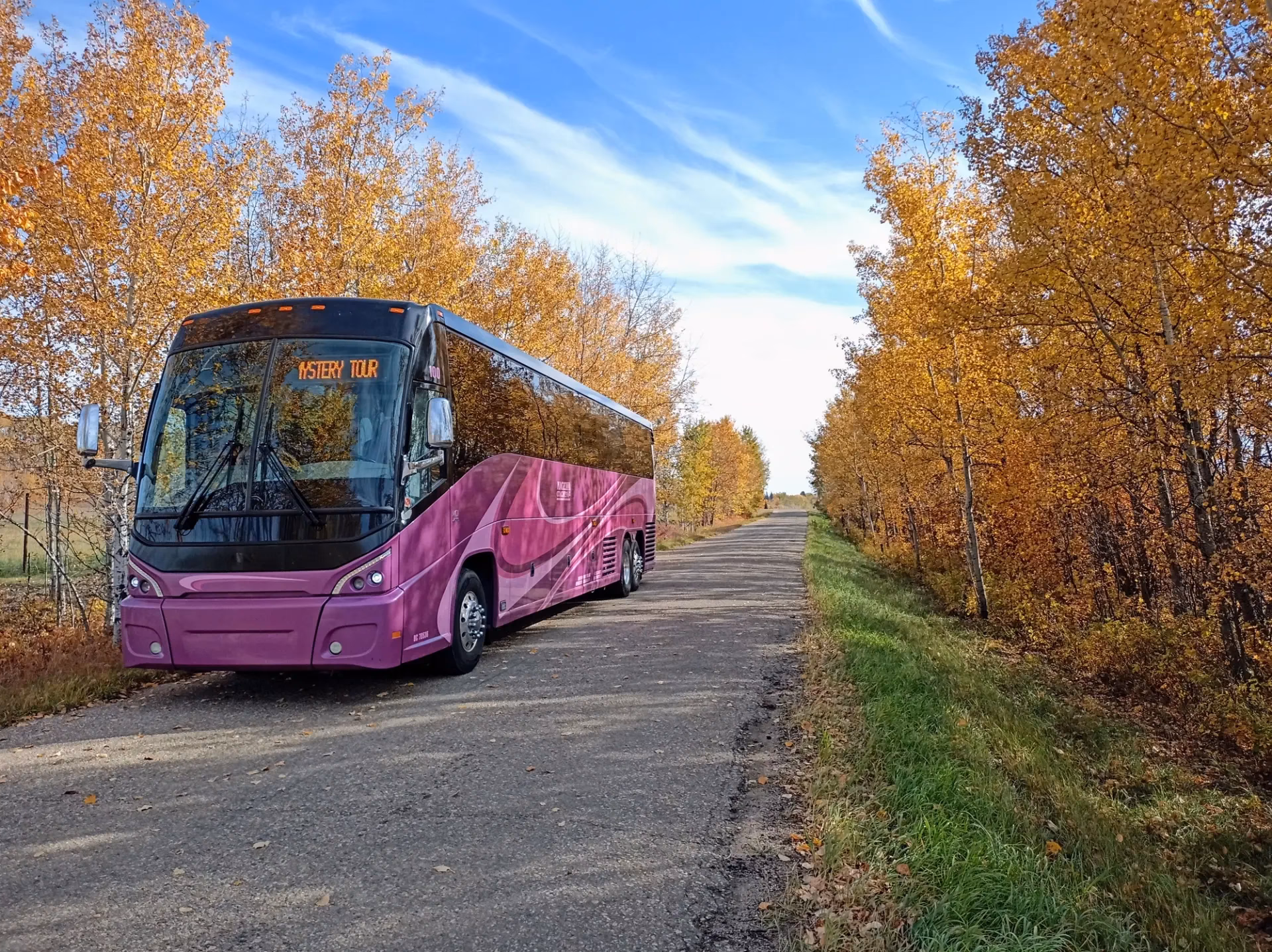 What is Vikingbus?