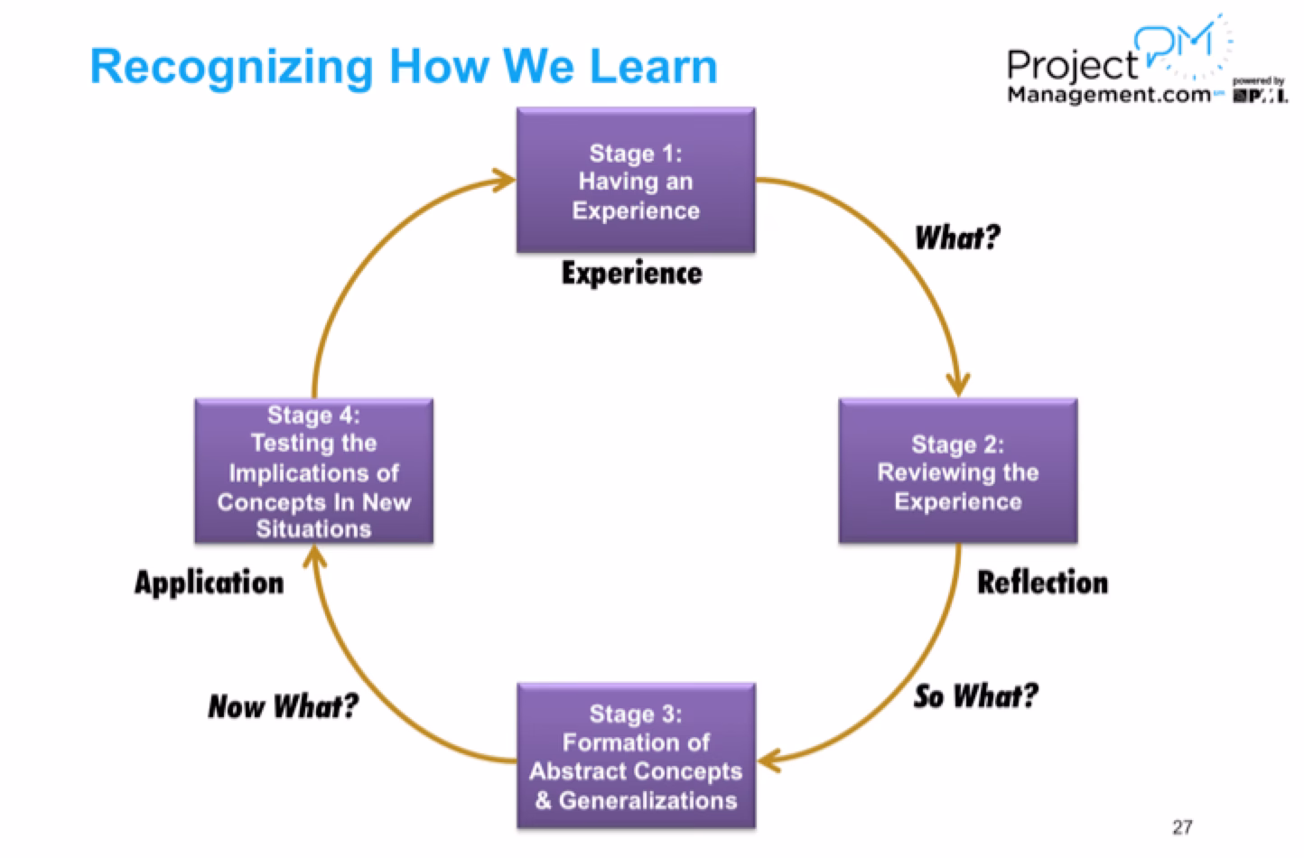 What is the job description and requirements of a business project manager?