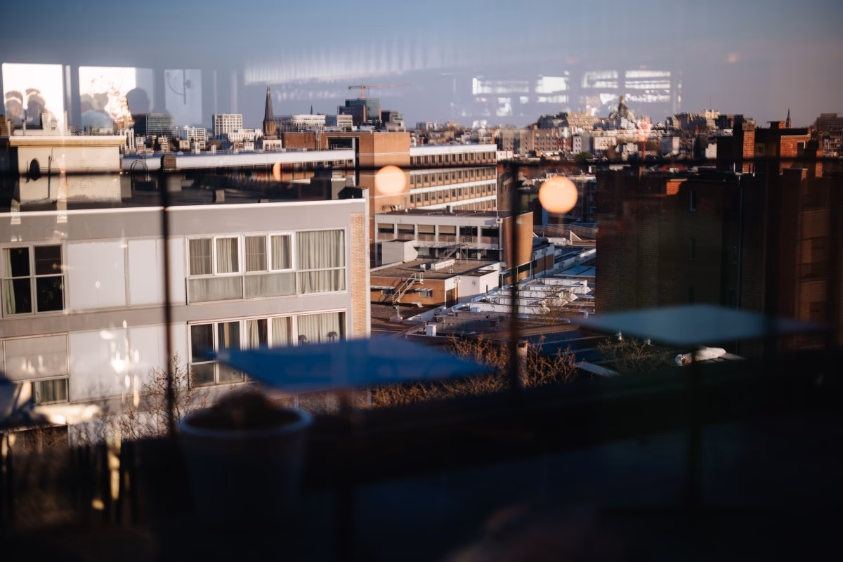 Are rooftop hives a good idea?