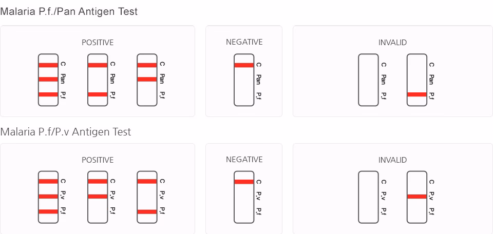 How to detect a malaria antigen in a blood test?