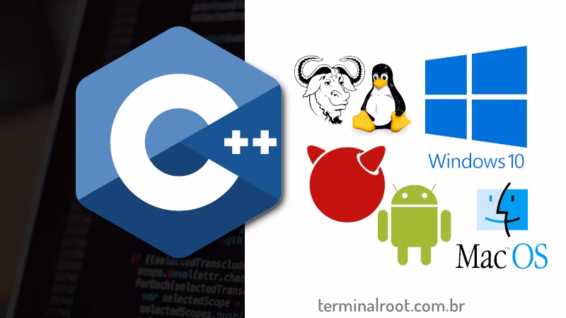 What is a C++ compiler library?