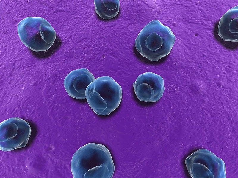 Can C pneumoniae cause bronchitis?