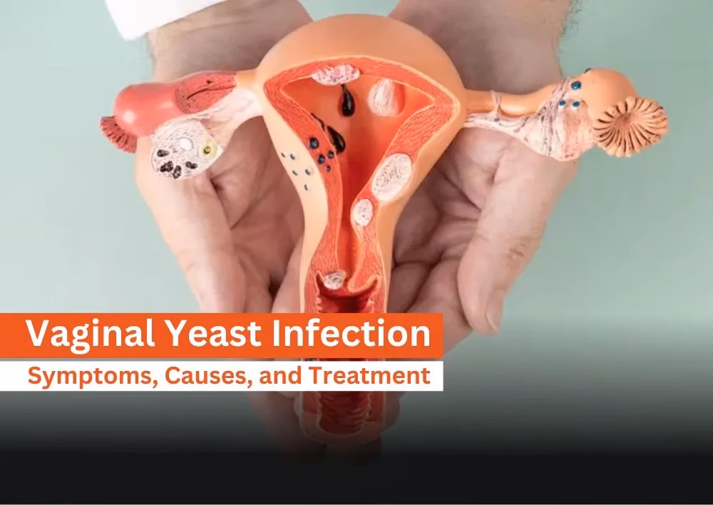 Can you get a UTI from a toilet seat?