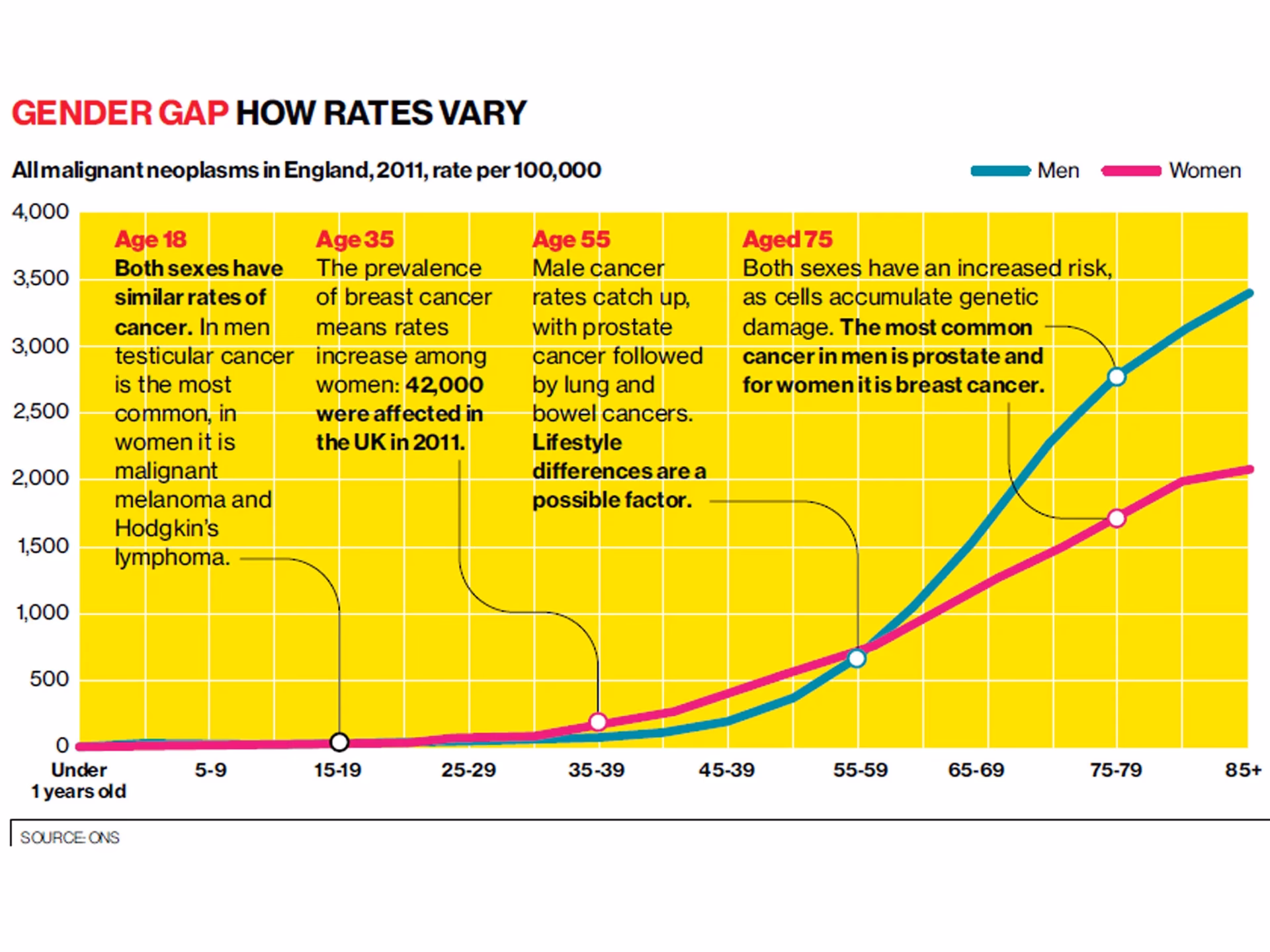 Why are people ages 15 to 39 more prone to cancer?