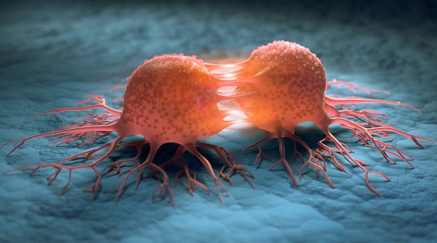 Can a normal cell become a cancer cell?