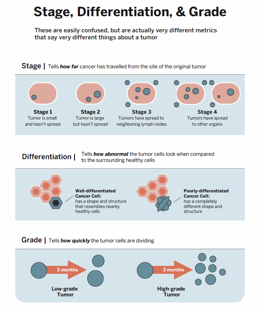 What does tumor grade mean?