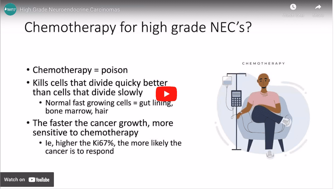What are lung neuroendocrine carcinomas (NECs)?