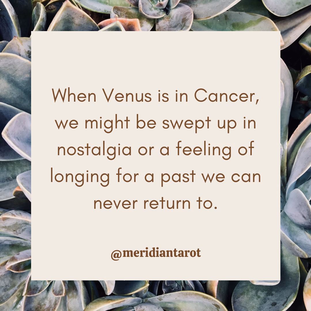 What does a Venus in Cancer Man do?