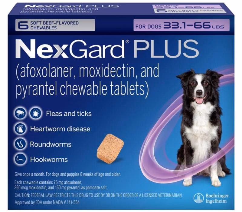 Can you give a dog Painkiller?