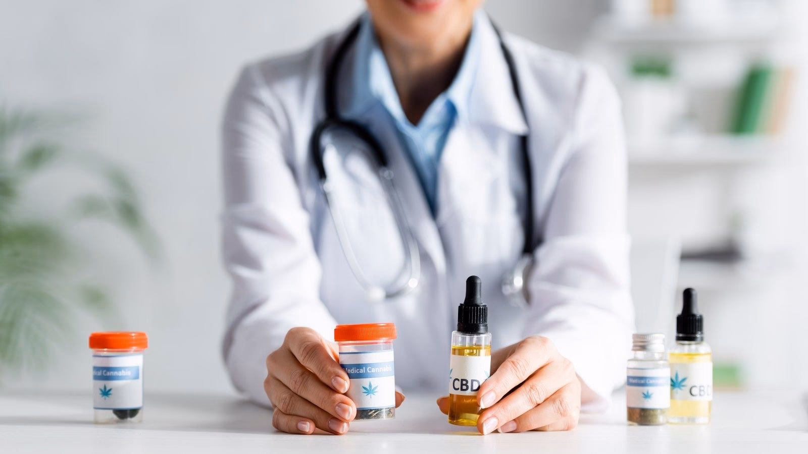 ¿Qué decreto regula la dispensación de cannabis en España?