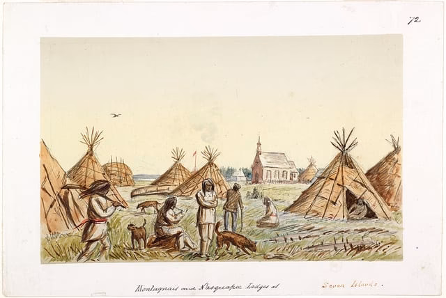 What are the advantages of division of labour in a capitalist economy?