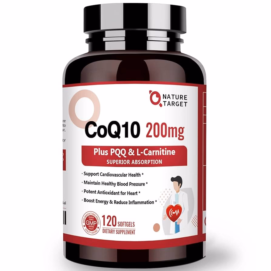 What is carnitine & why is it important?