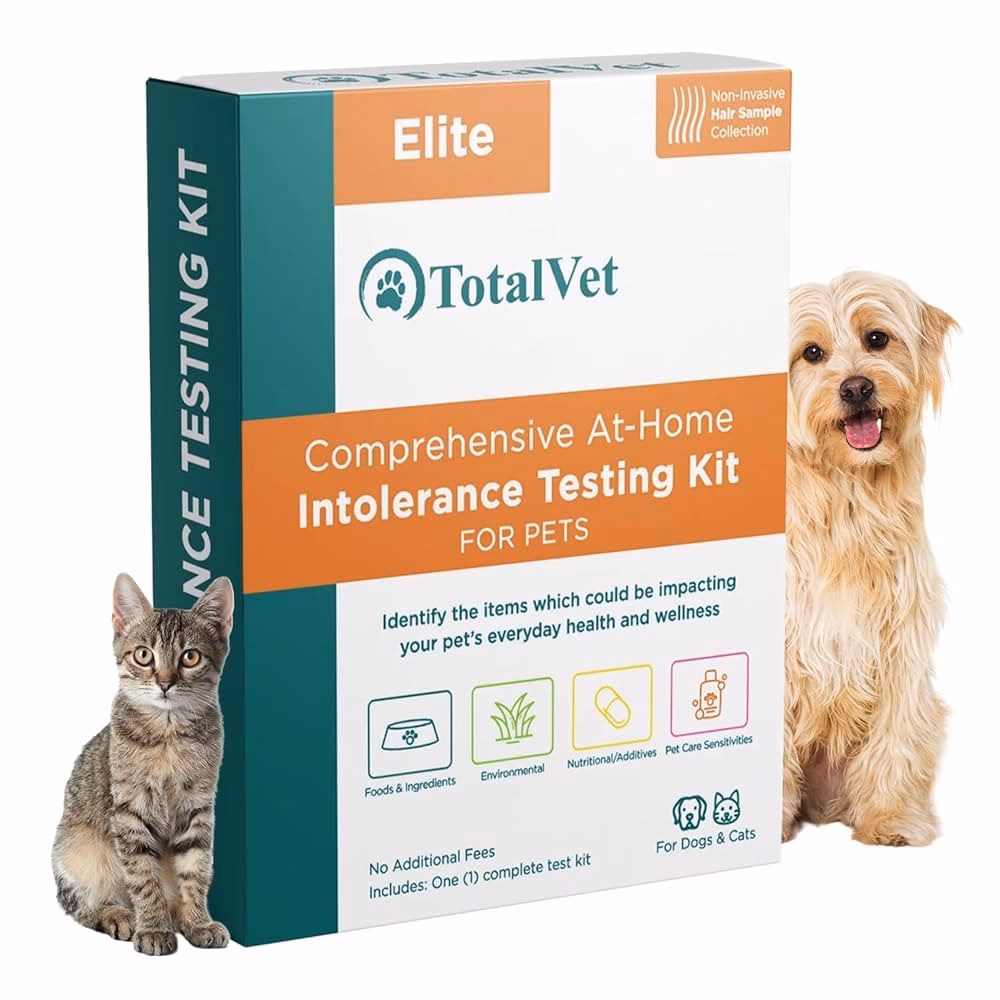 Can a cat be allergic to food?