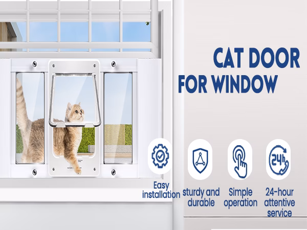 Why can't I use the cat command in Windows?