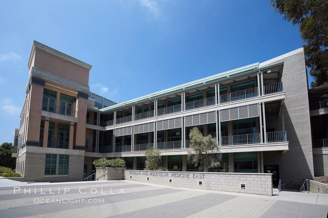 What is the cellular and Molecular Medicine collection?