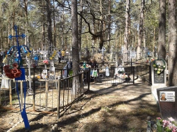 What caused the Chernobyl disaster?