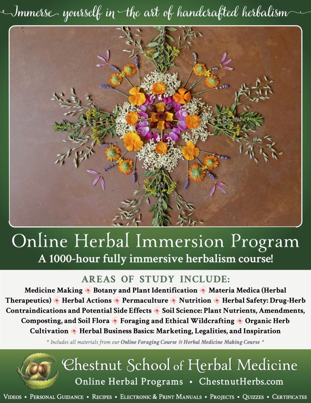 What is the Chestnut School of herbal medicine?