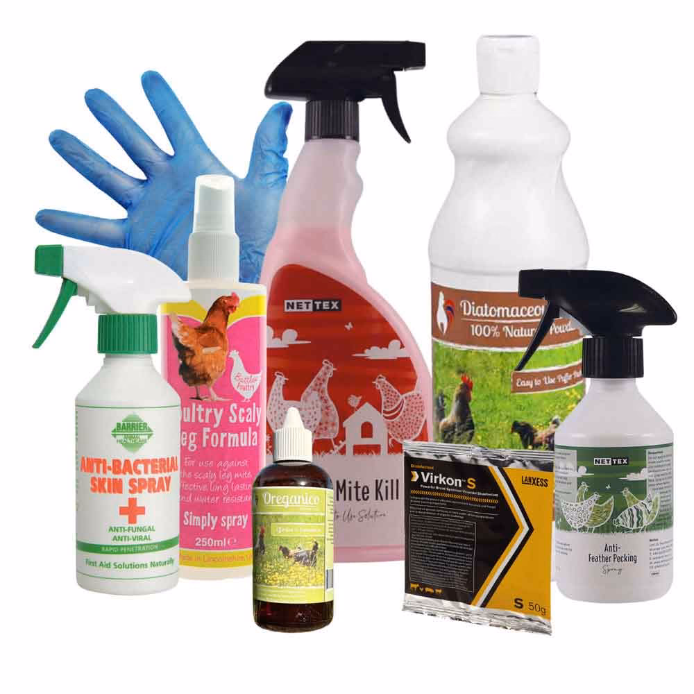 What is chicken anemia virus (CAV)?