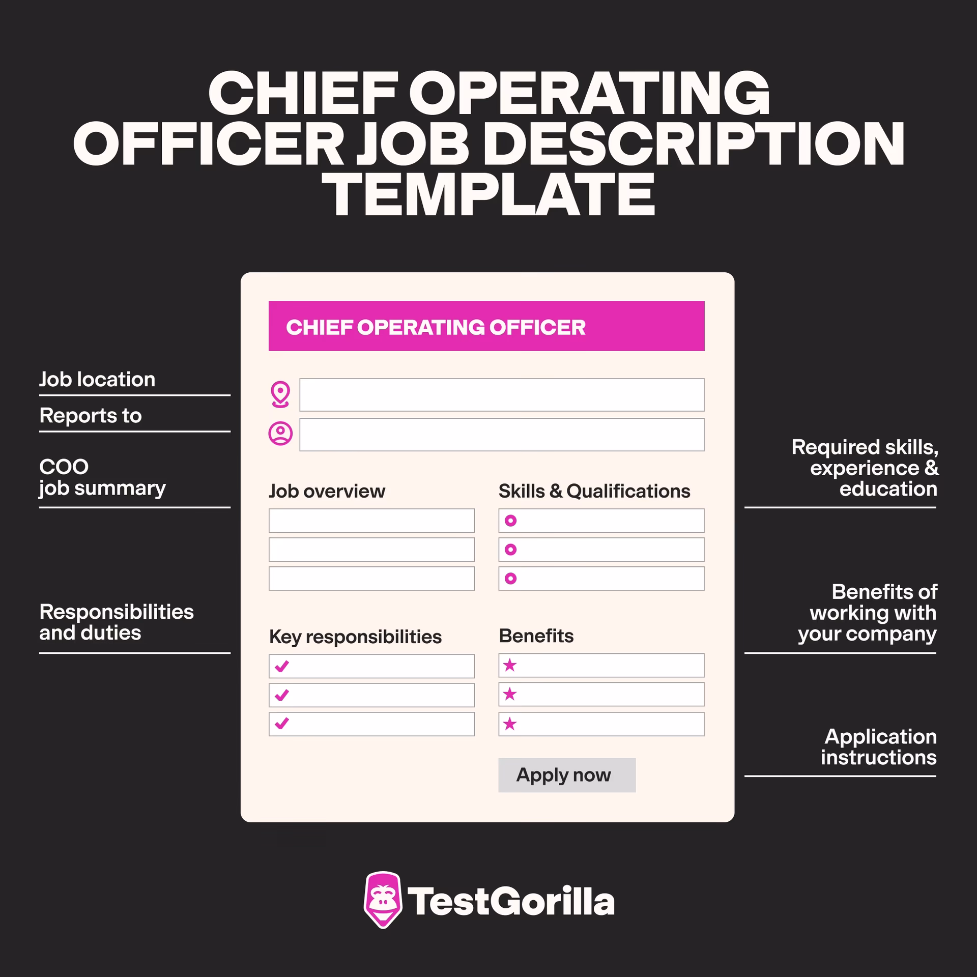 What does a Chief Executive Officer (COO) do?