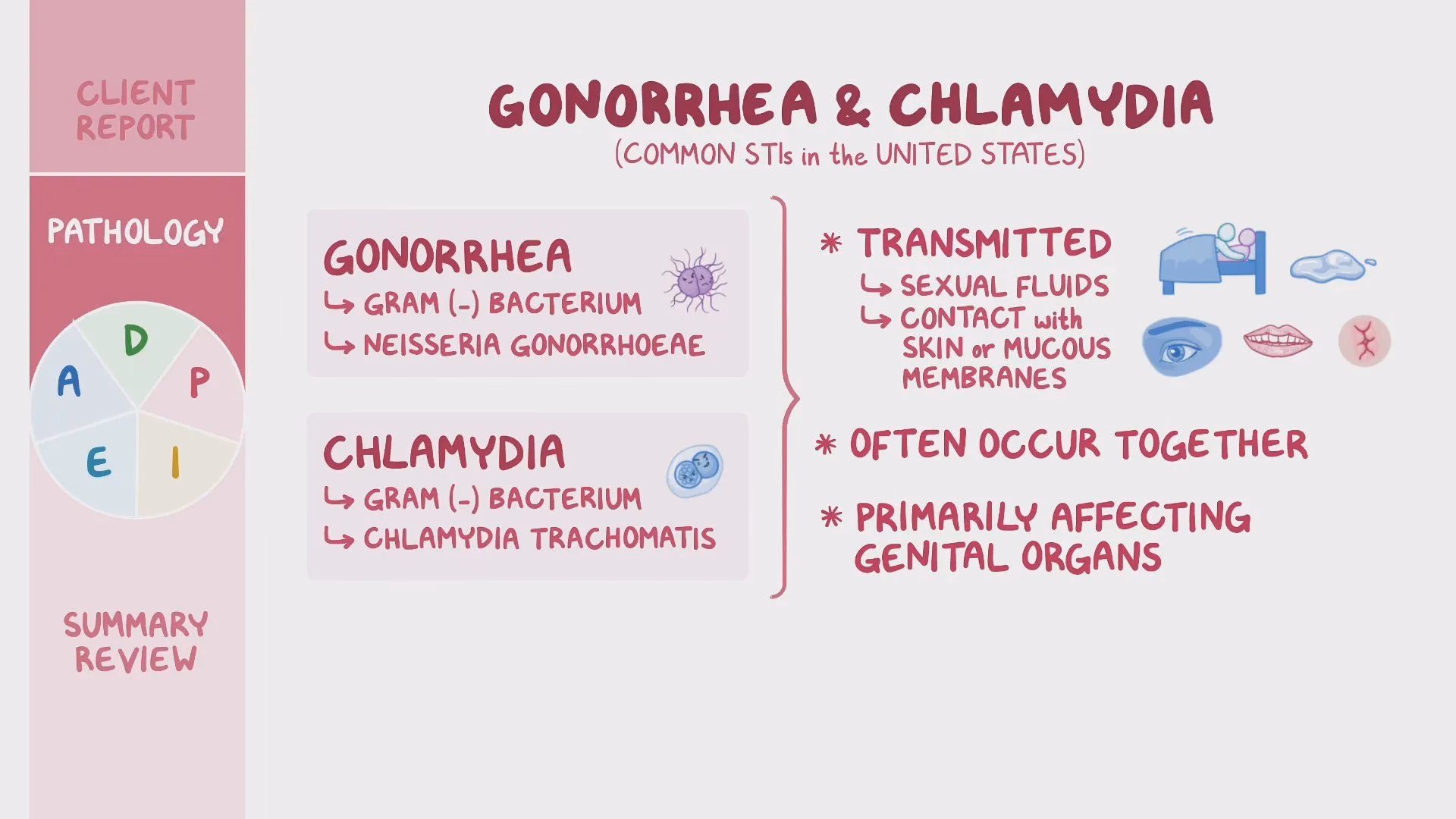 Can gonorrhea and chlamydia coexist?
