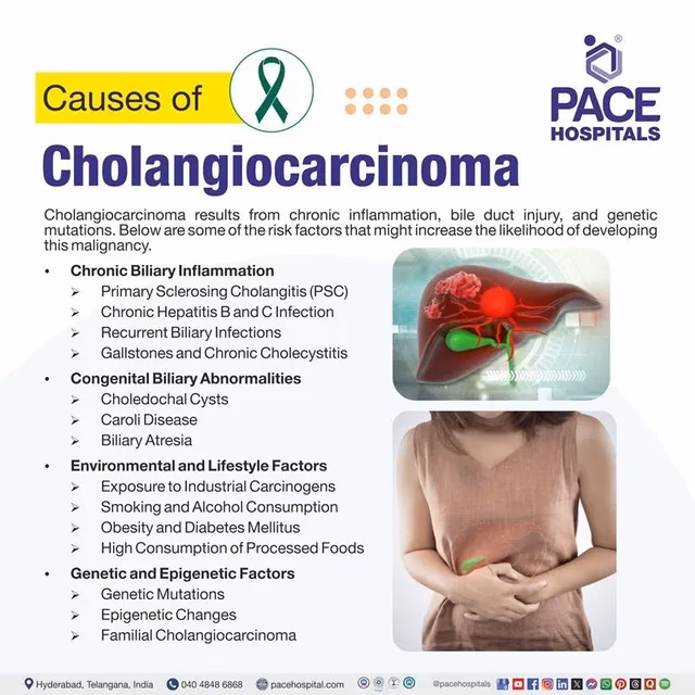 Is bile duct cancer cholangiocarcinoma?