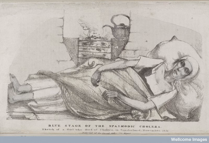 When did cholera become a disease of global importance?