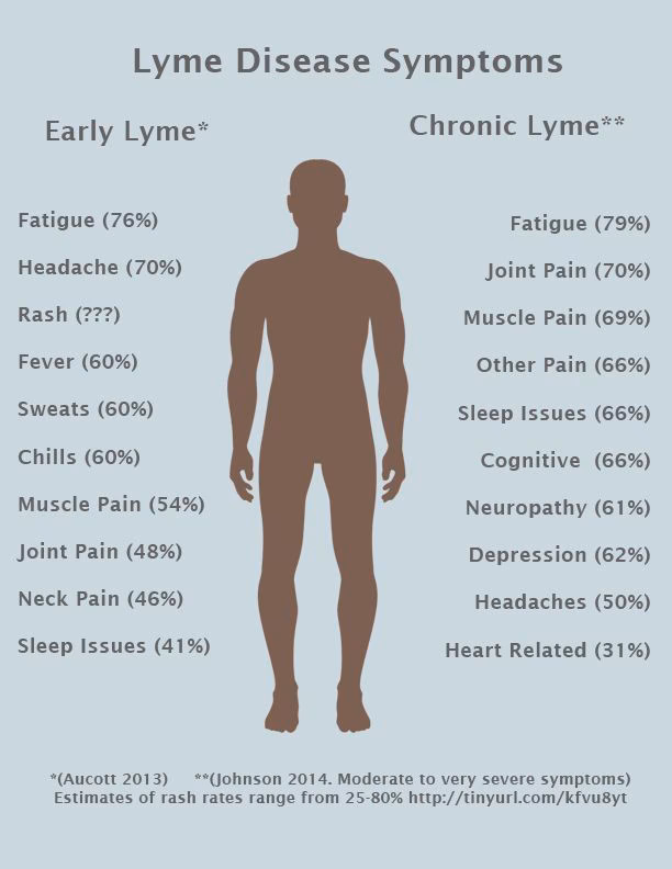 What is chronic Lyme disease (CLD)?