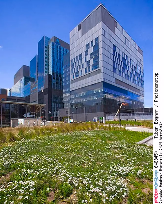 What is CHUM hospital?