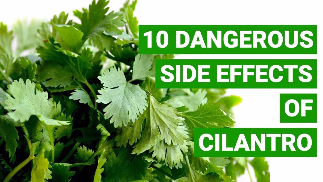Should I call 911 if I'm allergic to cilantro?