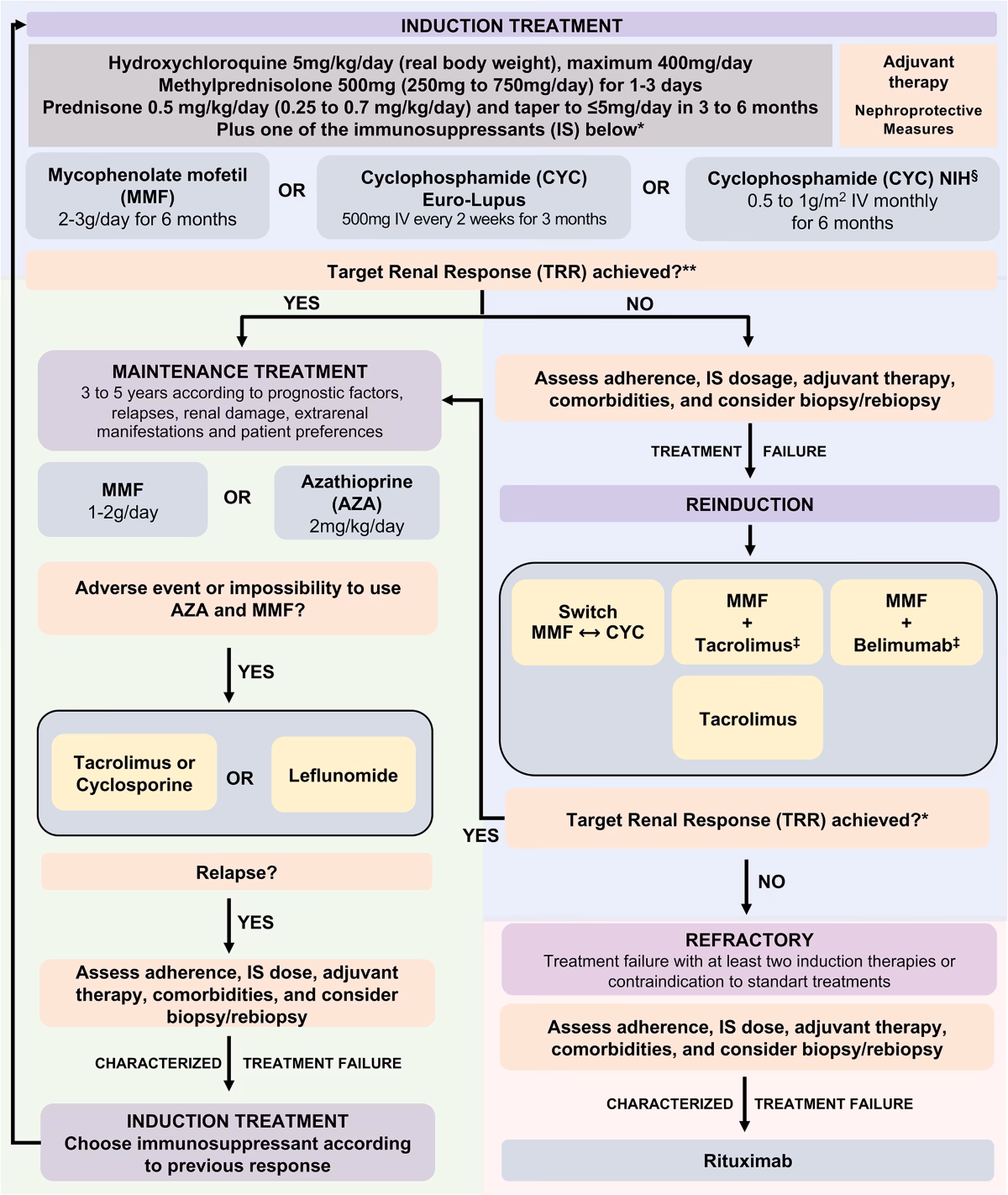 How do you treat lupus nephritis (ESRD)?