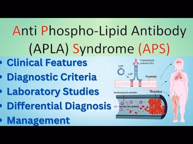 What is the Clinical Operations Group (Clin Ops)?