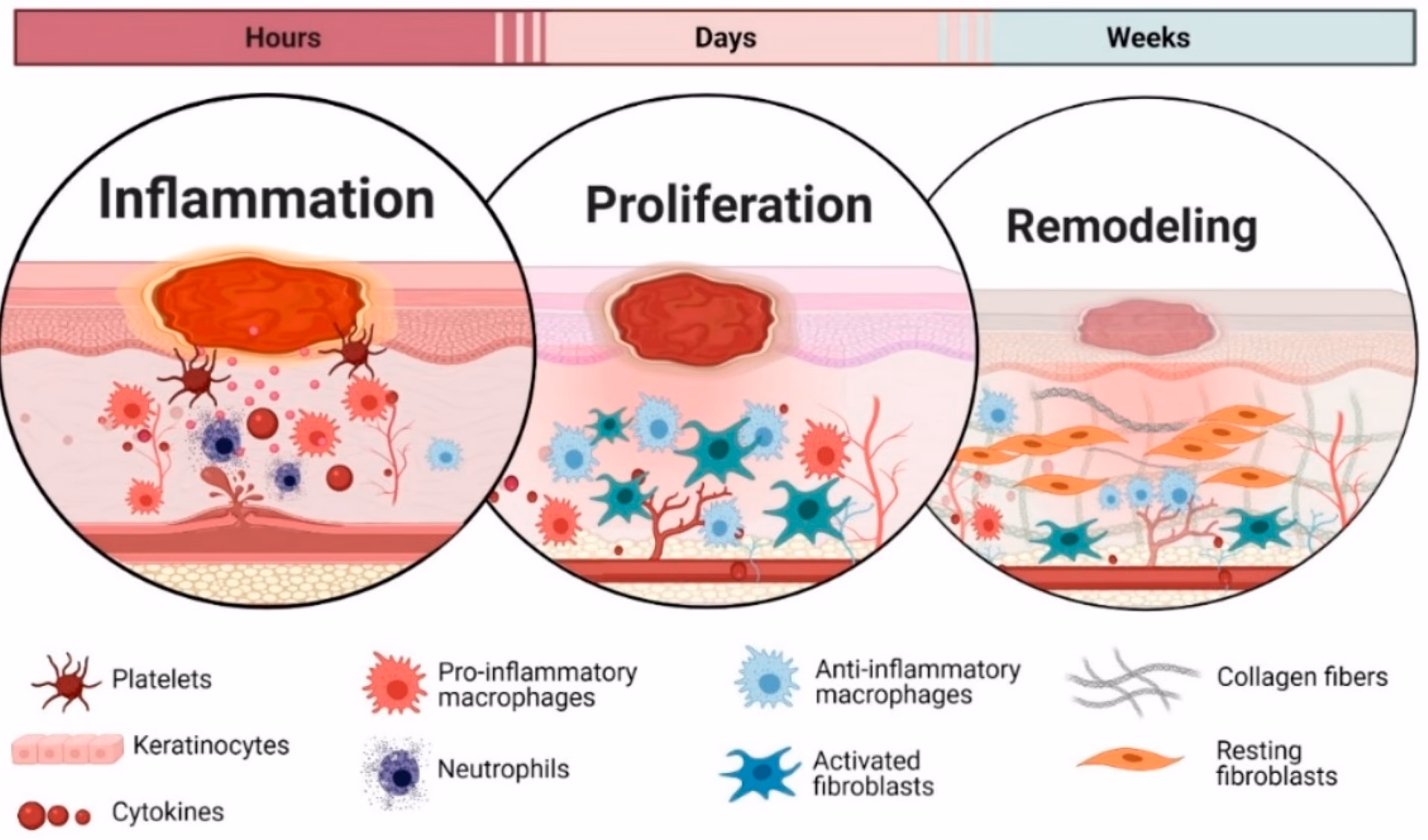 Can plasma medicine be used in clinical applications?