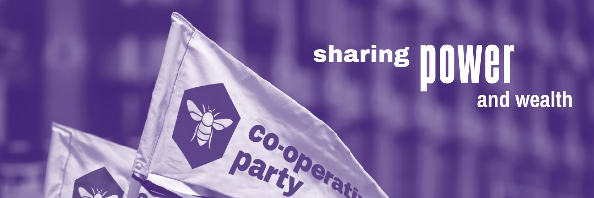 How many followers does co-op have on LinkedIn?