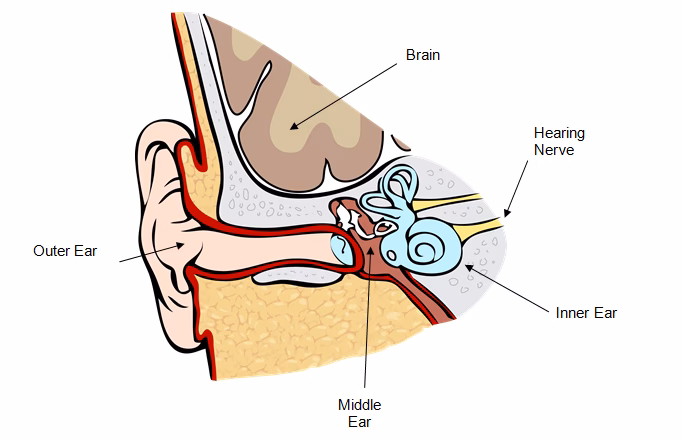 Are cochlear implants covered by the NHS?