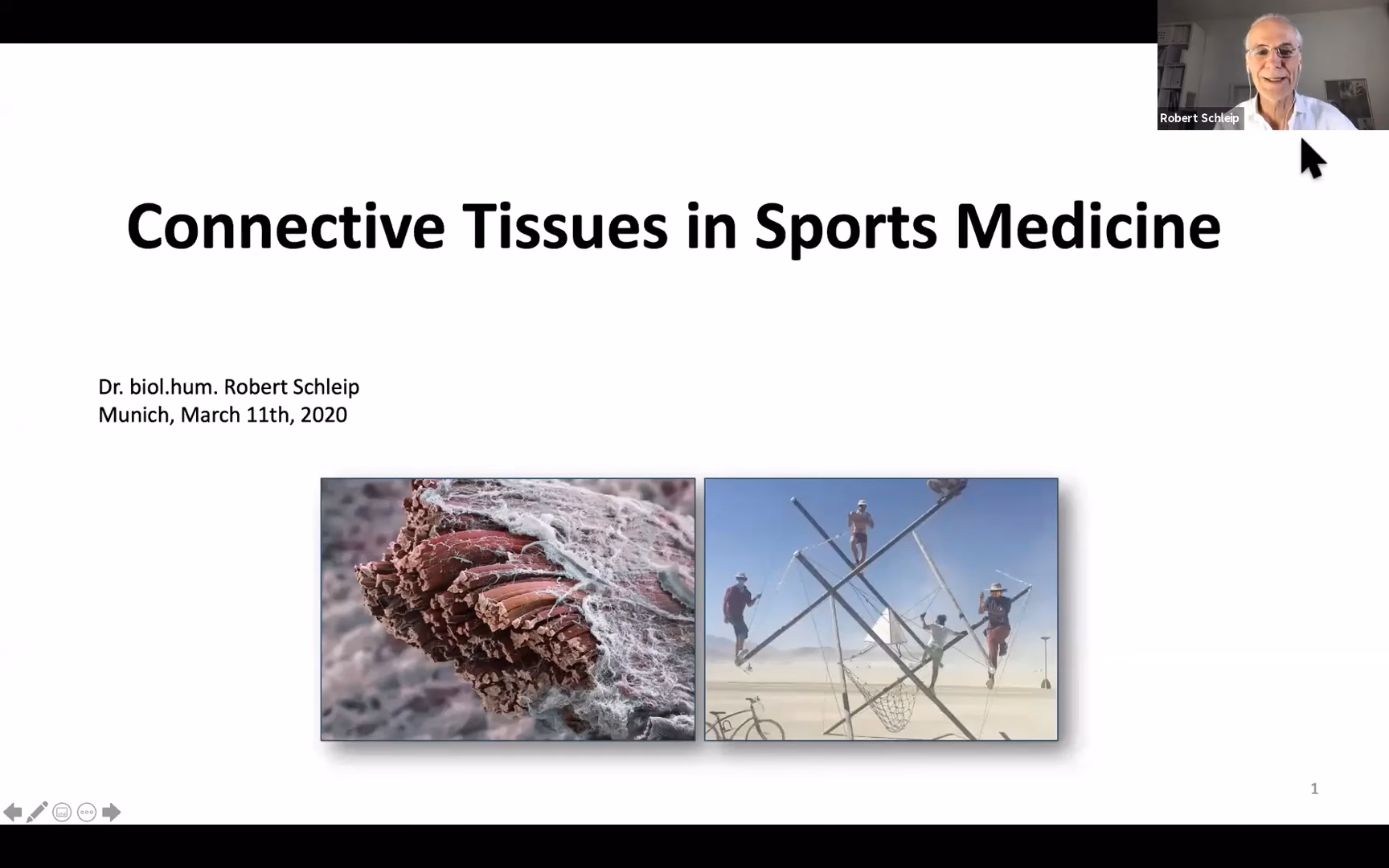 What is the consensus statement regarding fascial tissues in sports medicine?