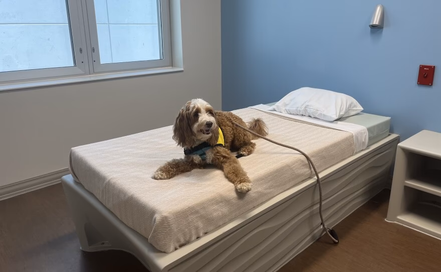 What is Mission Hospital copestone?