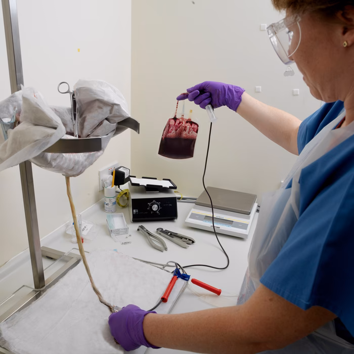 Can I donate my baby's cord blood?