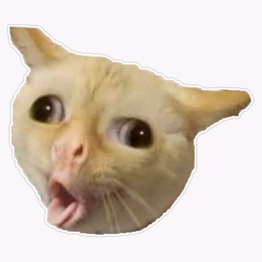 What happens if a cat coughs a lot?