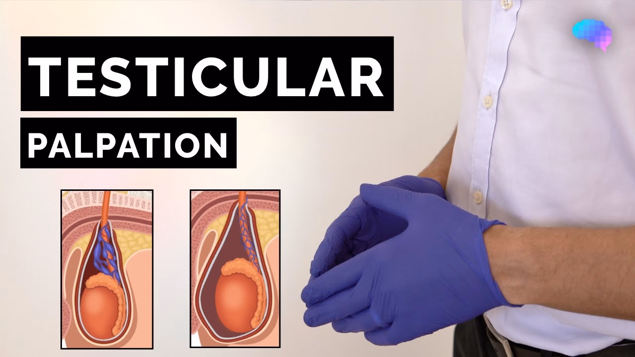 Why do doctors hold your scrotum if you're coughing?
