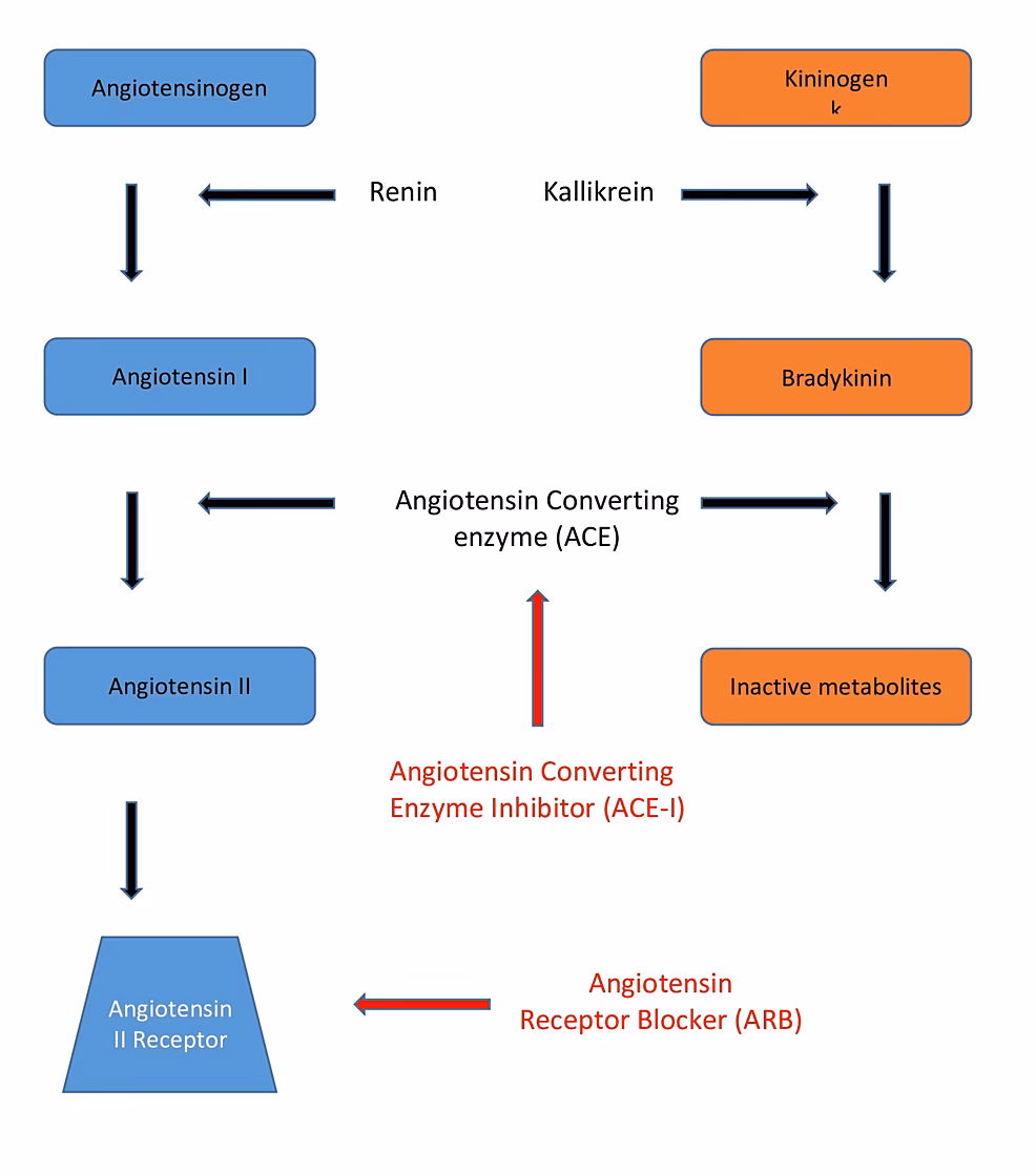Can ARBs be used in patients with ACE inhibitor-in-Duced angioedema?