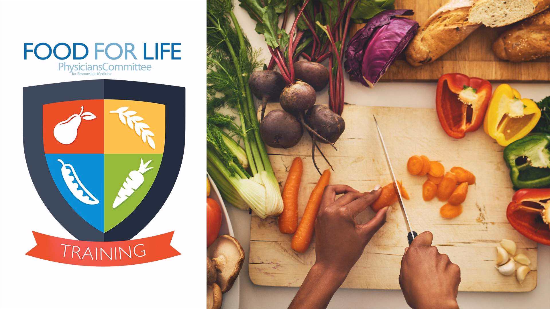 What does a palliative medicine education committee do?