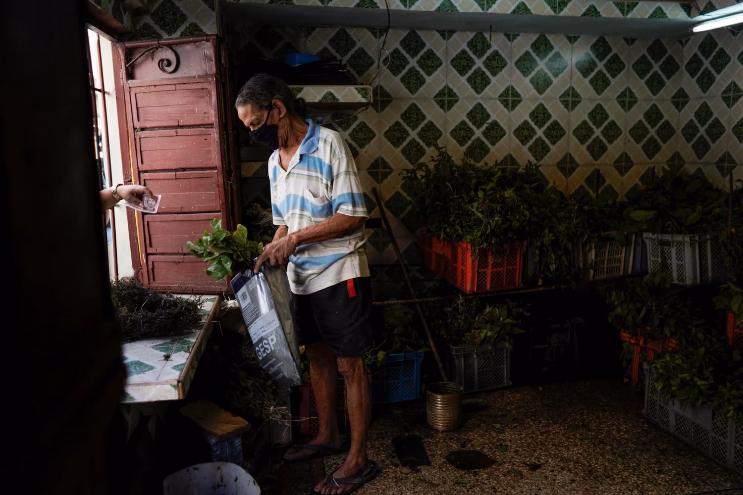 Does Cuba have a national health plan for integrating traditional medicine?