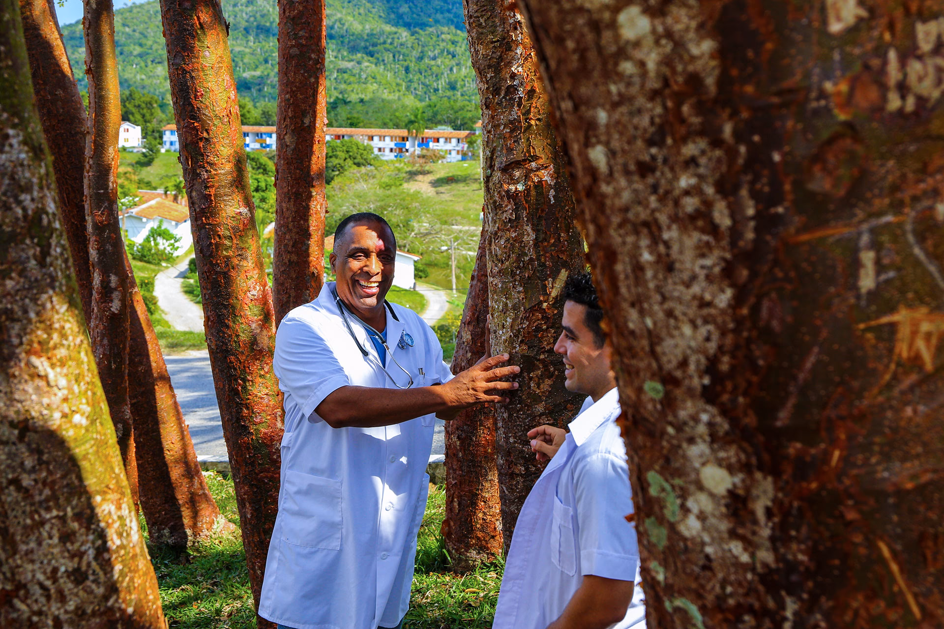 Is Cuba anchored in natural and traditional medicine?
