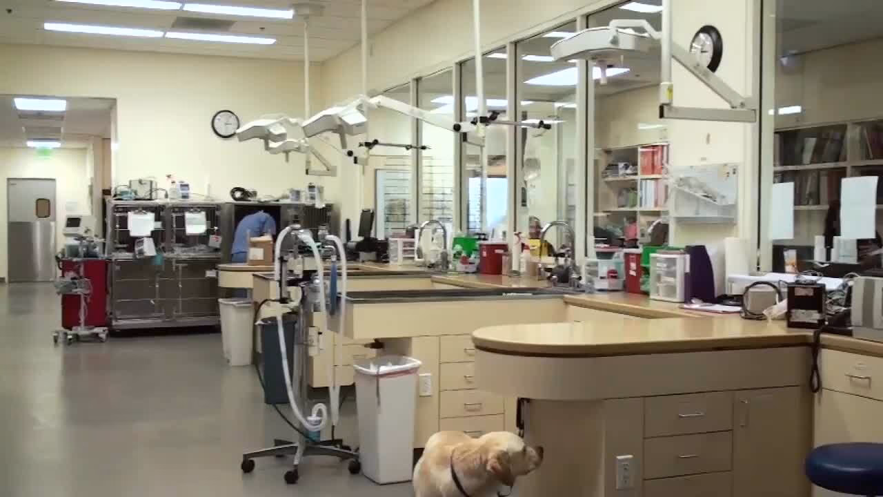 Where is CVS Pharmacy in Carlsbad CA?